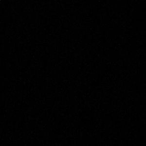 Meet your Posher, Gianna